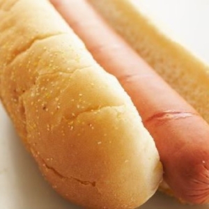 PERRITO SOLO SALCHICHA